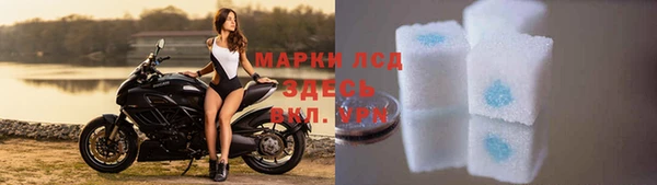 твердый Верея